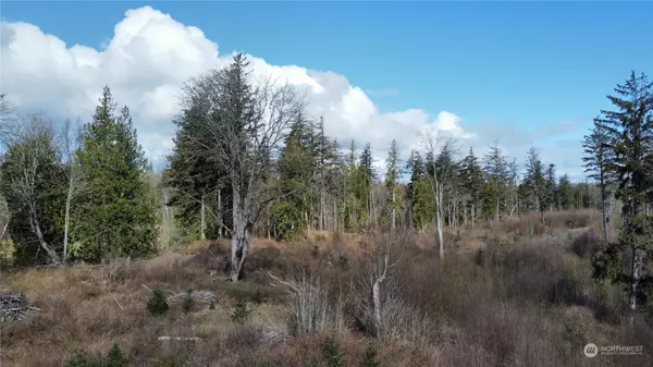 0 Lummi Shore, Bellingham, WA 98226