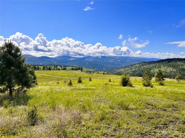 39 Moonlight DR, Curlew, WA 99118