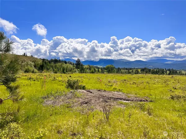 Curlew, WA 99118,36 Moonlight DR