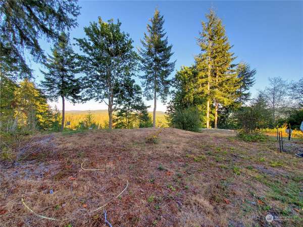 410 W Satsop DR, Elma, WA 98541