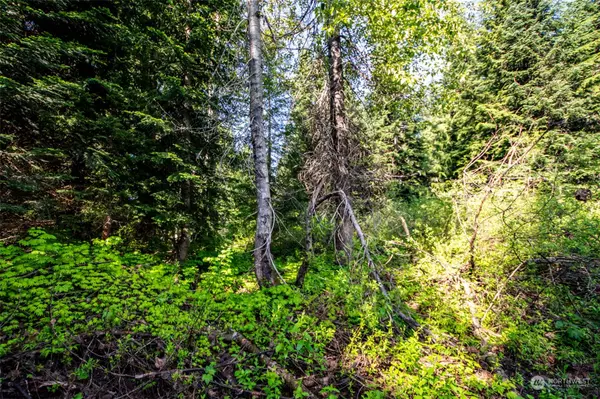 Snoqualmie Pass, WA 98068,50 parcels Snowshoe LN