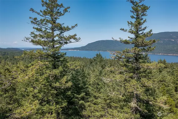 0 Ridgeway LN, Orcas Island, WA 98245