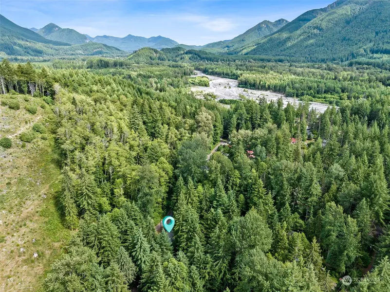 56006 344th Avenue Ct E, Ashford, WA 98304