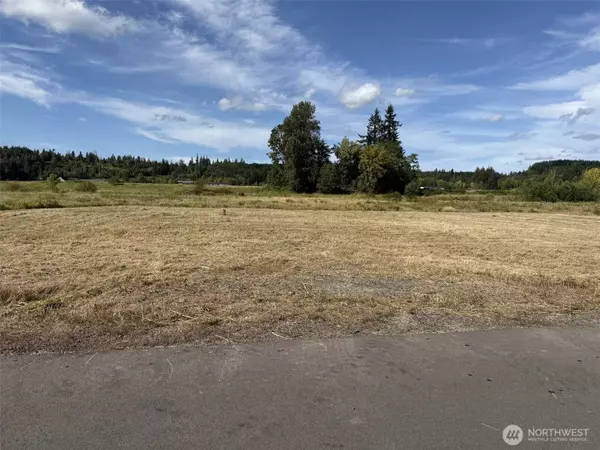 Onalaska, WA 98570,16 Sunburst LN