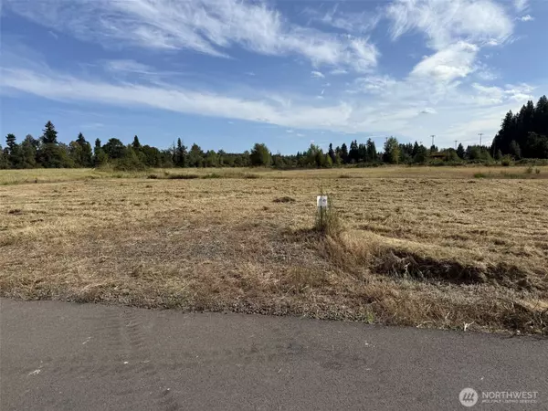 Onalaska, WA 98570,49 Sunburst LN