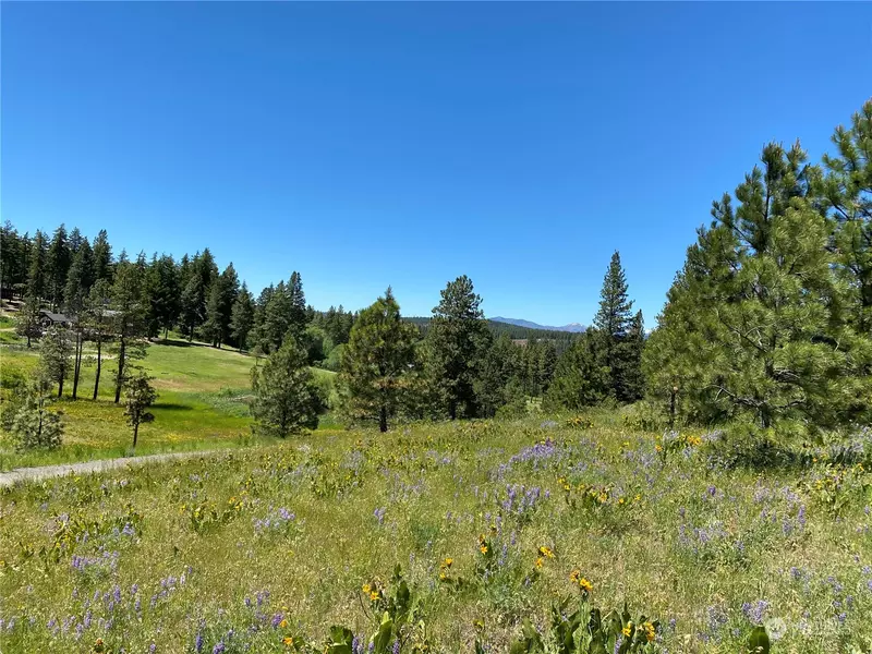 360 Forest Grove (Lot 8) WAY, Cle Elum, WA 98922