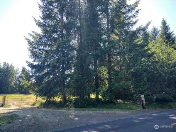 341 Frank Smith RD, Toutle, WA 98649