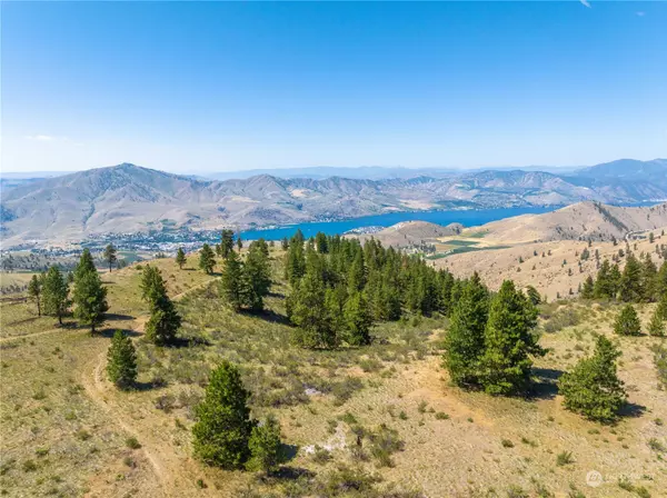 1128 Blazing Star LN, Chelan, WA 98816