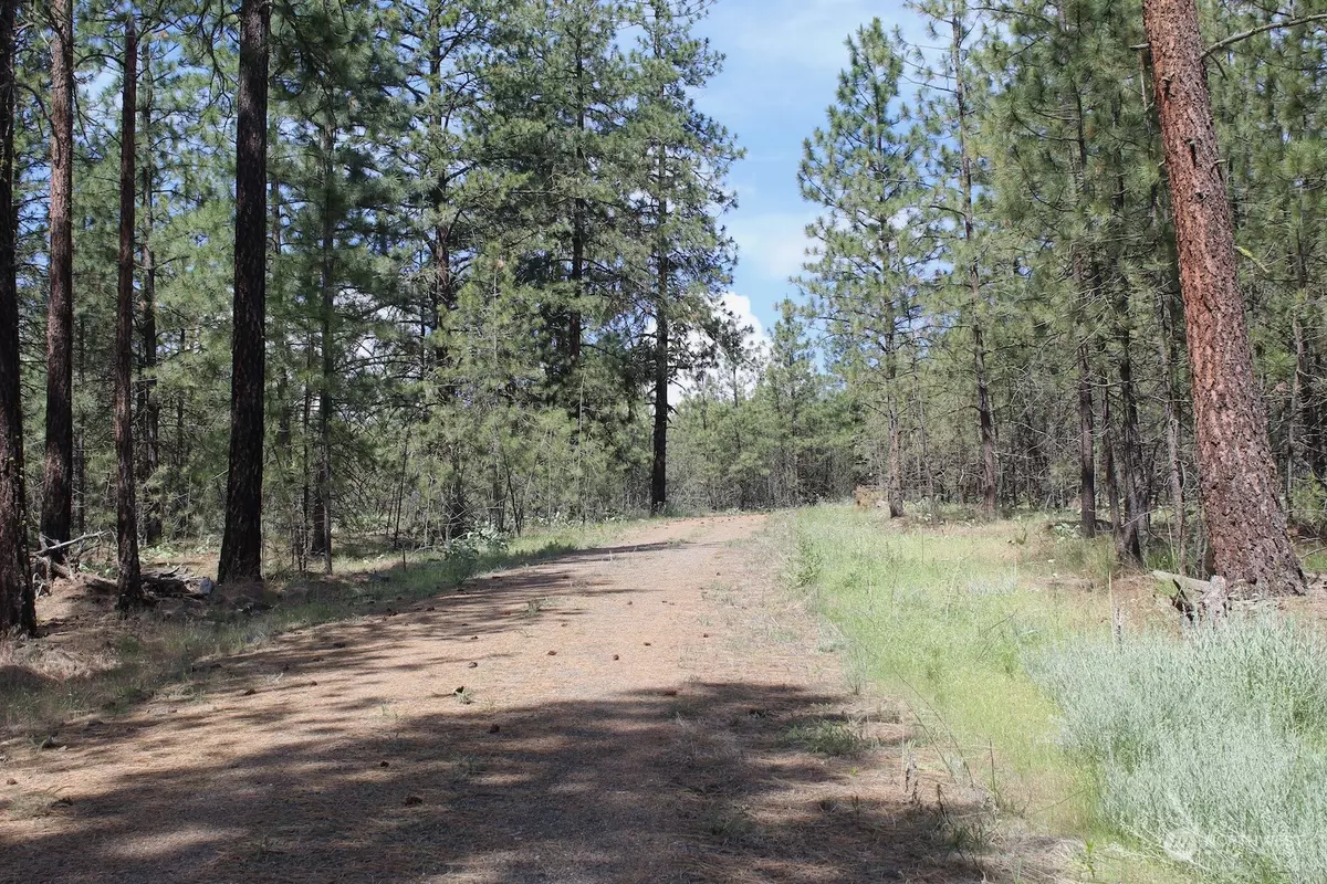 Davenport, WA 99122,0 Lot 4 Badger Sontag Ridge E
