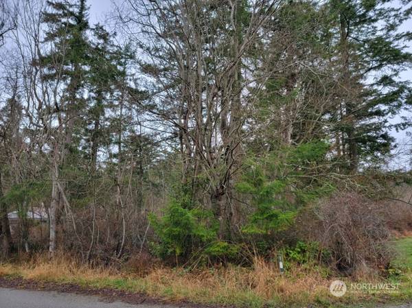 5 XXX E Shipping View DR, Freeland, WA 98249