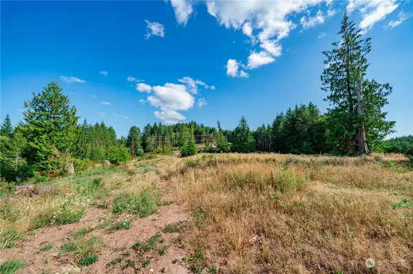 Castle Rock, WA 98611,0 S Silver Lake Lot 8 RD