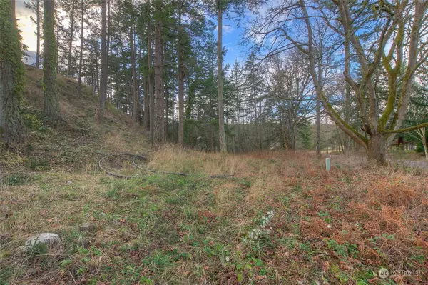 Orcas Island, WA 98245,52 Lot 1 Victory LN