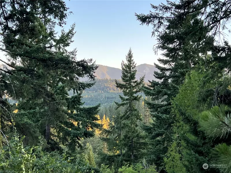 19 Kokanee LOOP, Cle Elum, WA 98922