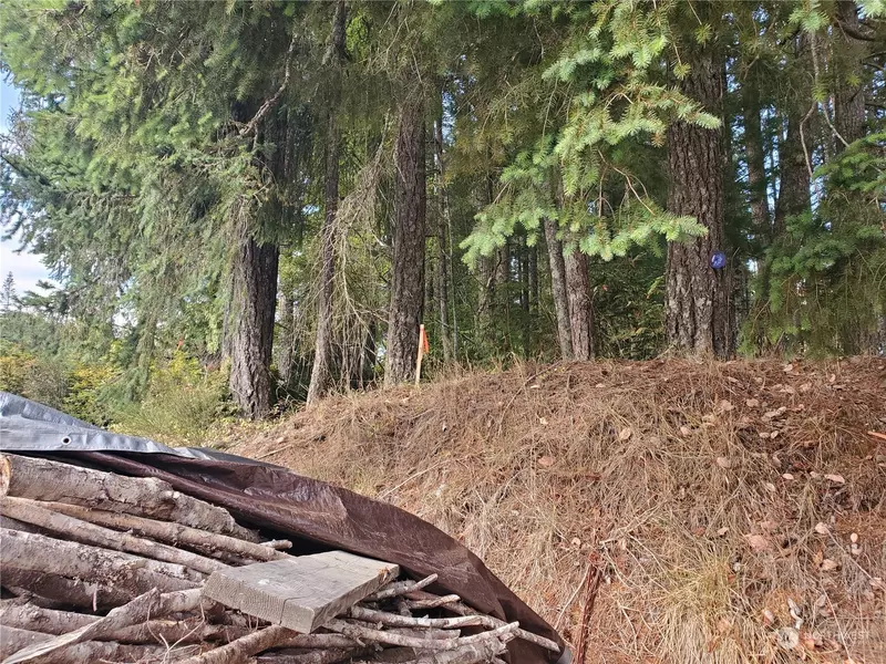 0 NW Seabeck Holly RD, Seabeck, WA 98380