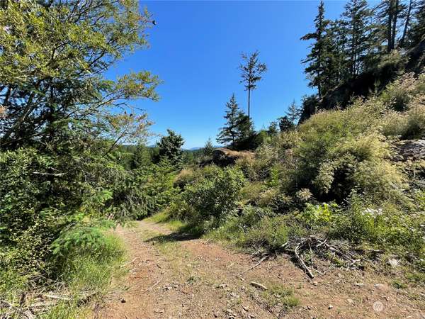 0 Fallingreen WAY, Friday Harbor, WA 98250