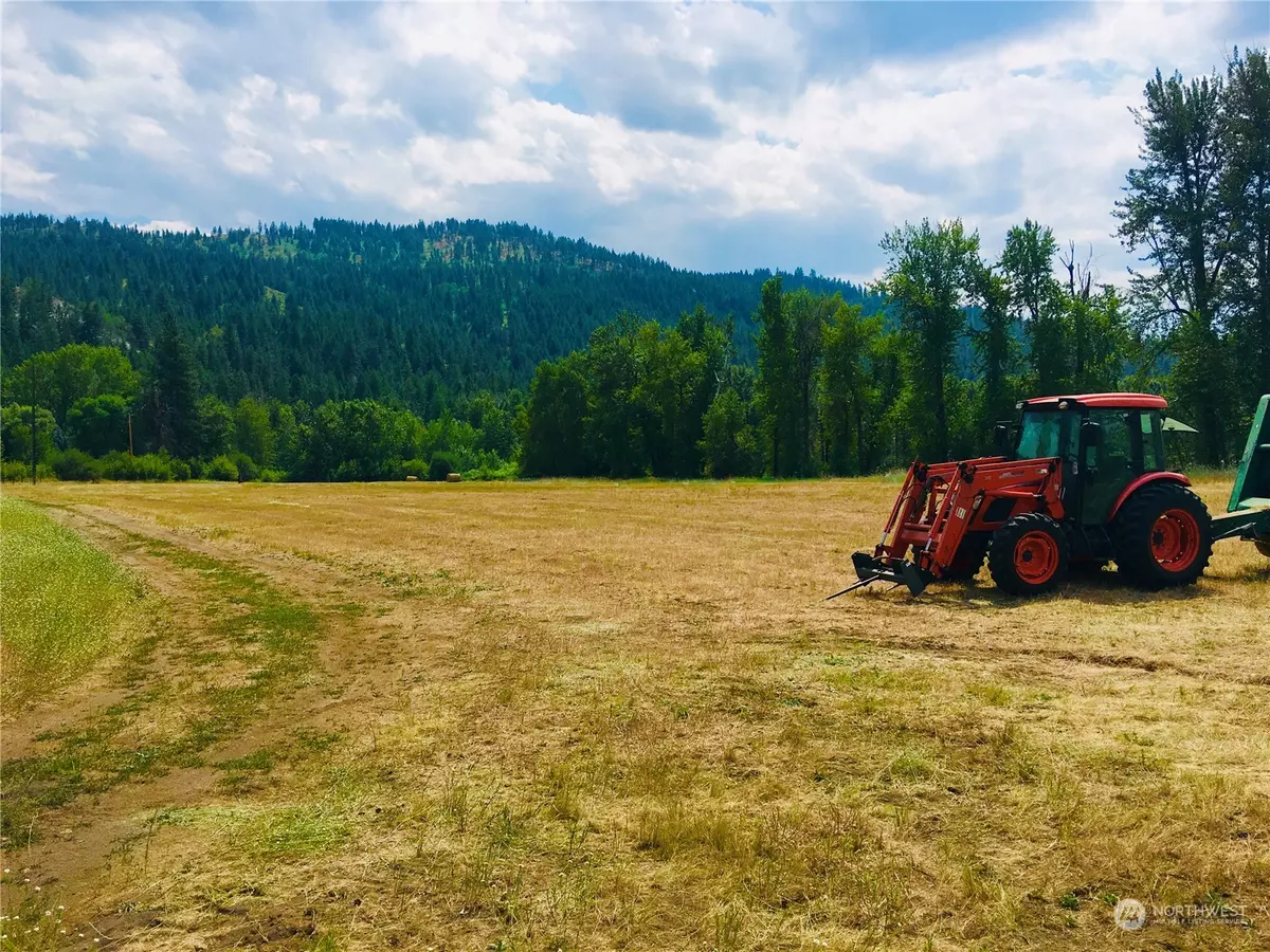 Curlew, WA 99118,49 Lancaster RD