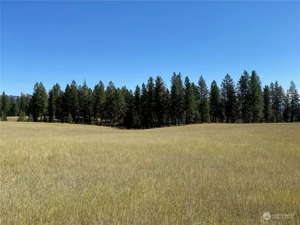 Anatone, WA 99401,0 XX Cougar Creek RD