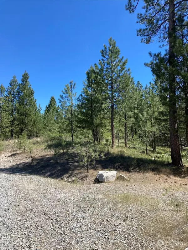 25 Lot 2 Chief Joseph TRL, Riverside, WA 98849