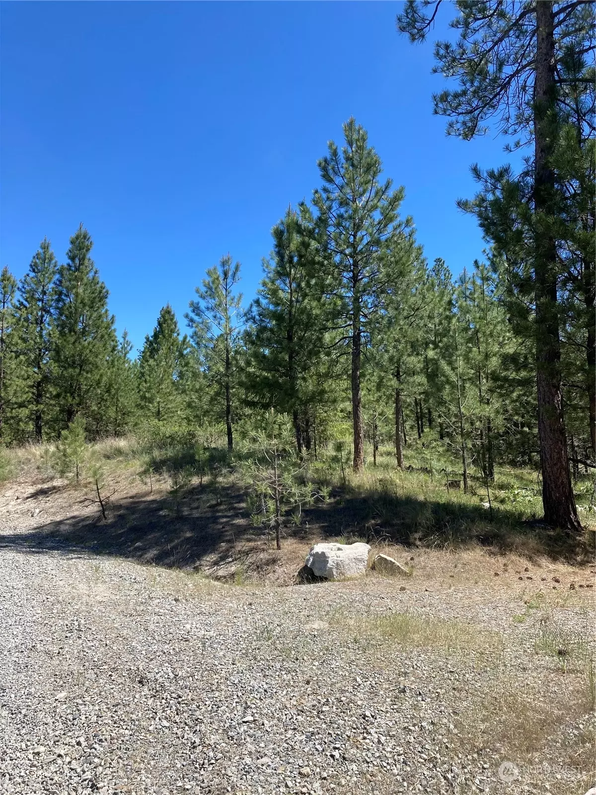 Riverside, WA 98849,25 Lot 2 Chief Joseph TRL
