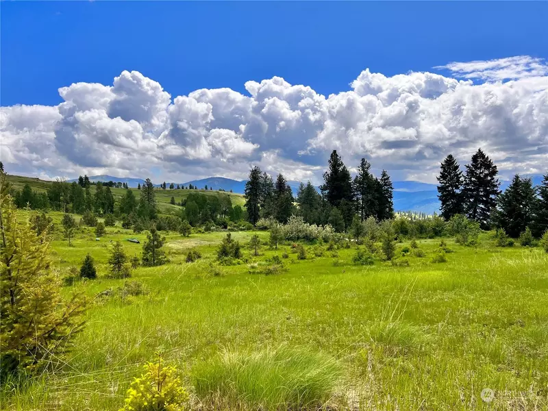 0 TBD Big Goosmus Crk RD, Curlew, WA 99118