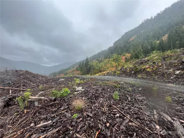 Carbonado, WA 98396,2 XX Cayada Creek Road - USFS 7810