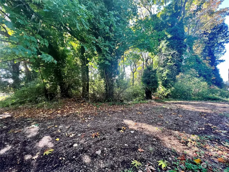 0 APA-Lot 1 RD, Point Roberts, WA 98281