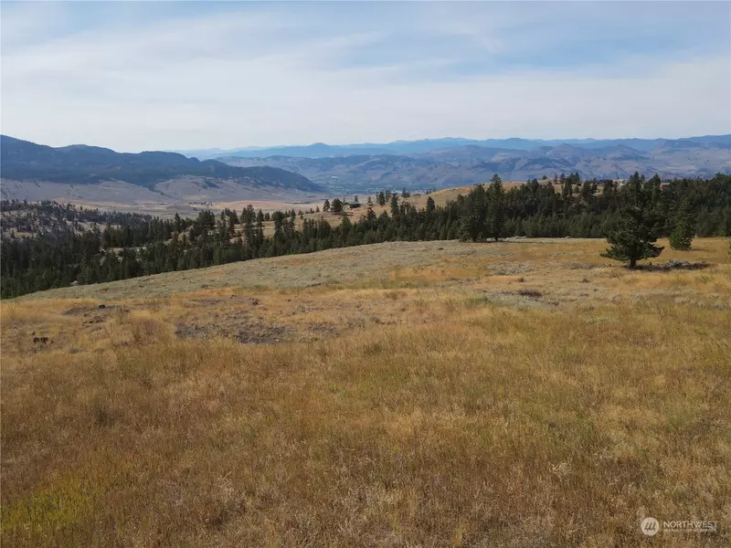 0 LOT 47 Canam RD #47, Oroville, WA 98844