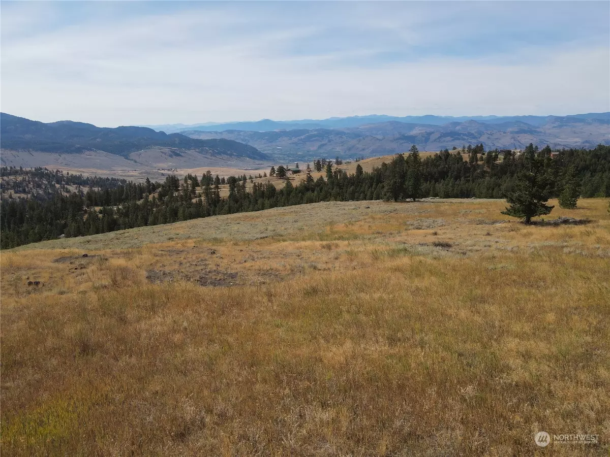 Oroville, WA 98844,0 LOT 49 Canam RD #49