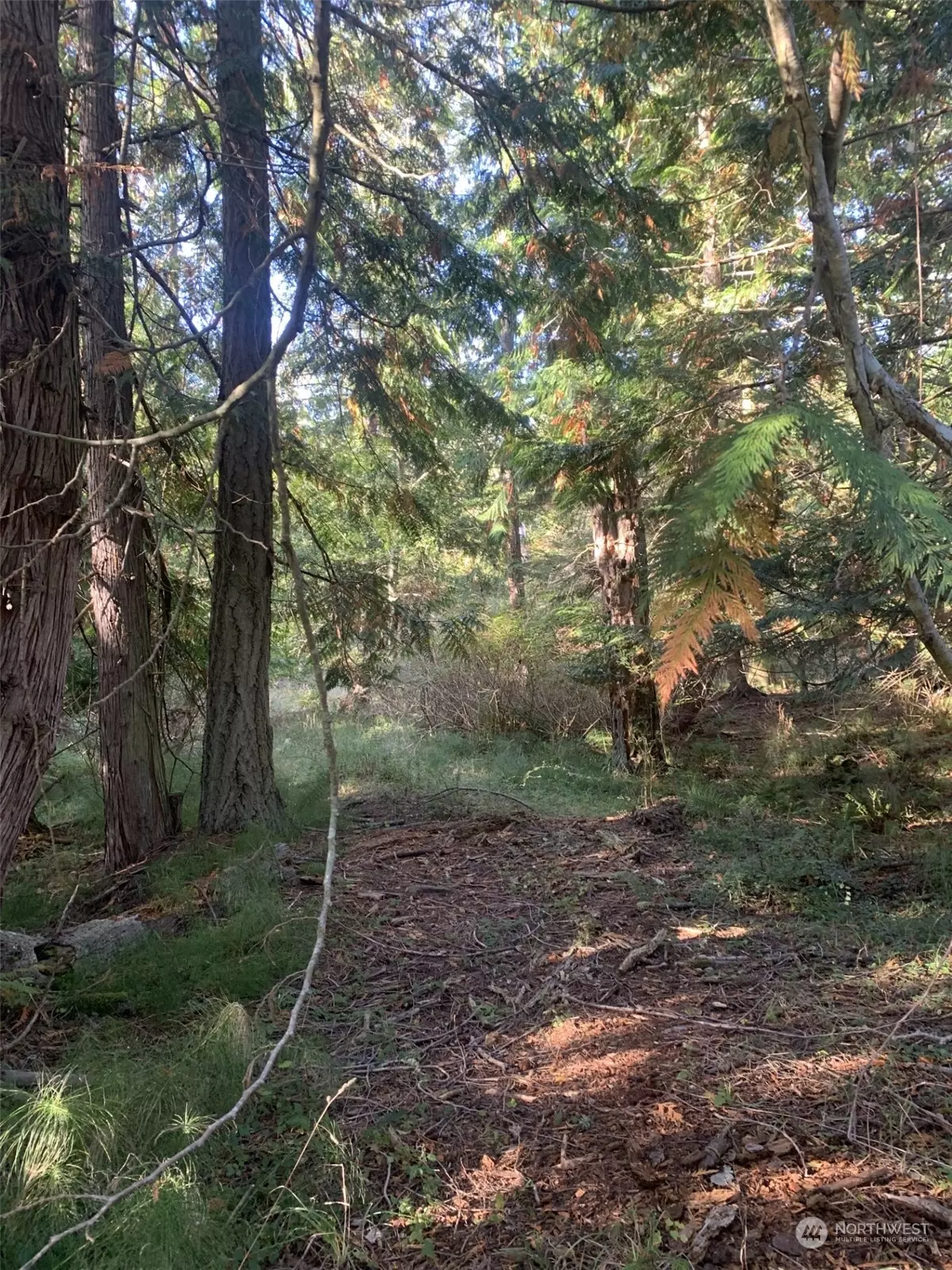 Decatur Island, WA 98221,10 Harmon Ranch RD
