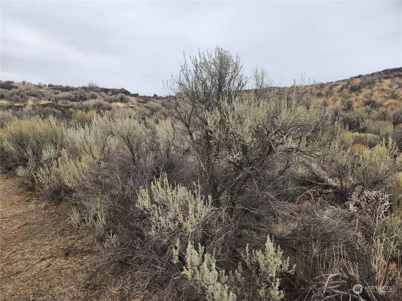 0 Lot 19 Bodie DR, Ephrata, WA 98823