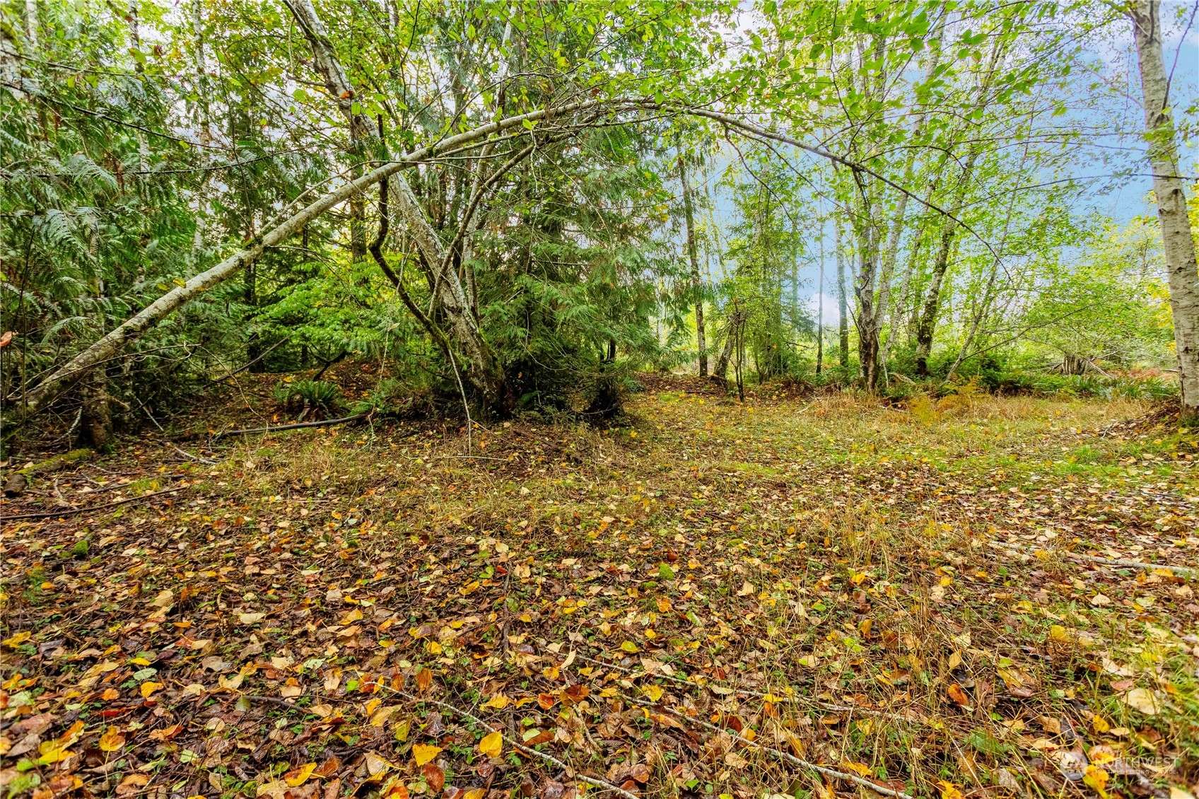 3 Jared RD, Shelton, WA 98584