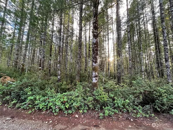 0 Dewatto Hills, Tahuya, WA 98588
