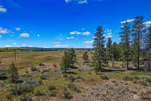 Reardan, WA 99029,51200 E Whispering Pines Dr