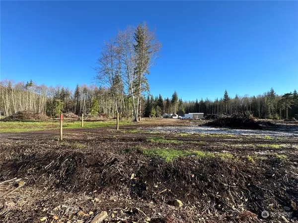 153 Woodsy LN, Onalaska, WA 98570