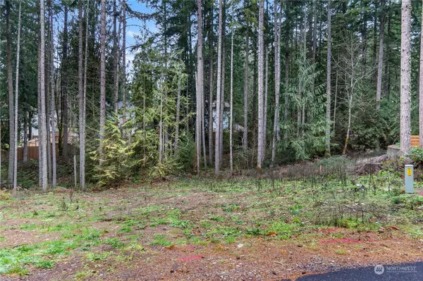 Yelm, WA 98597,18635 Southwood CT SE