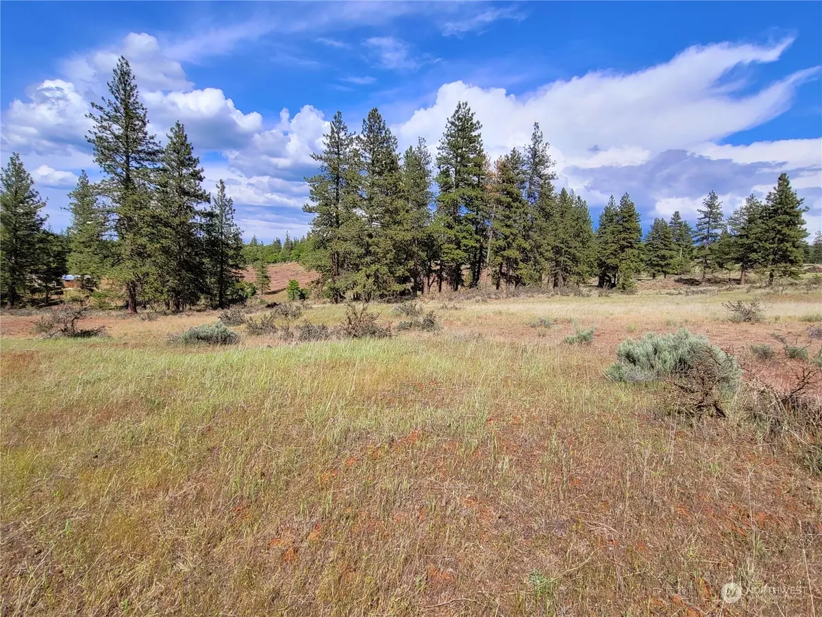 Goldendale, WA 98620,598 Chambers Road