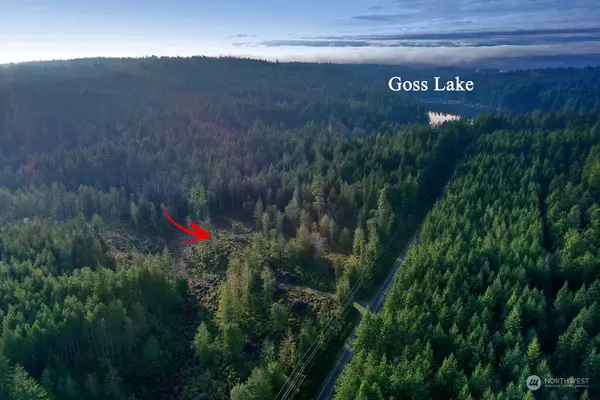 Langley, WA 98260,0 XXX Goss Lake RD