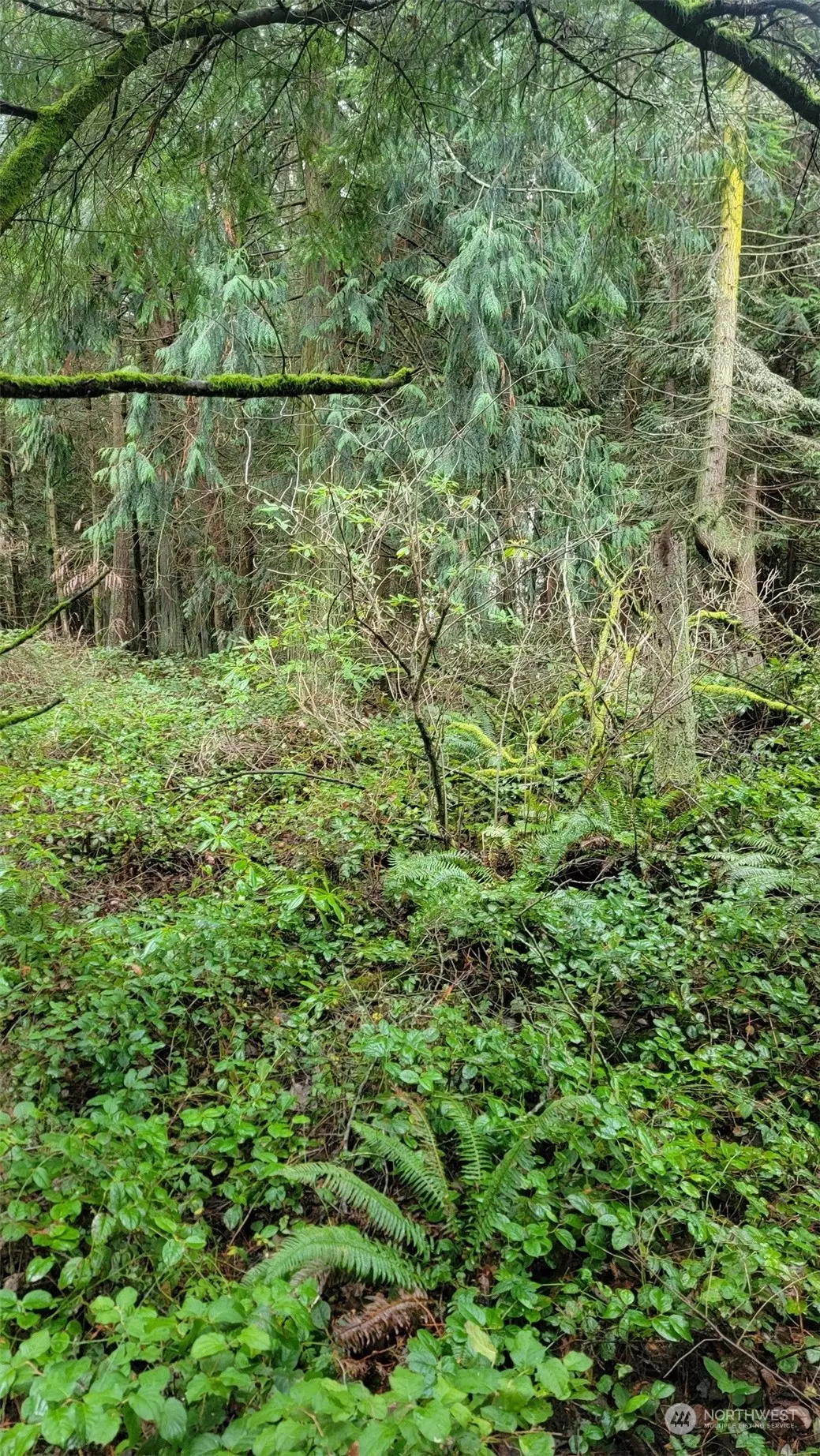 Port Townsend, WA 98368,2180 Cliff ST