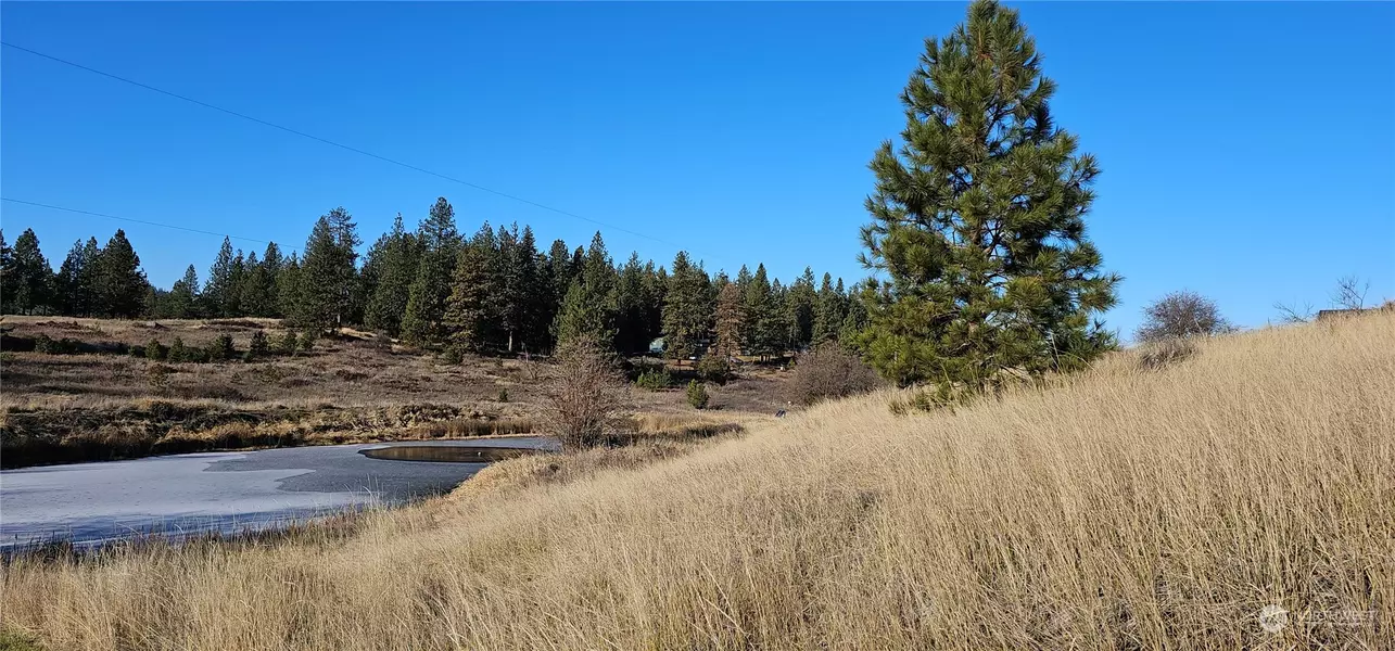 1041 Ward WAY, Colville, WA 99114