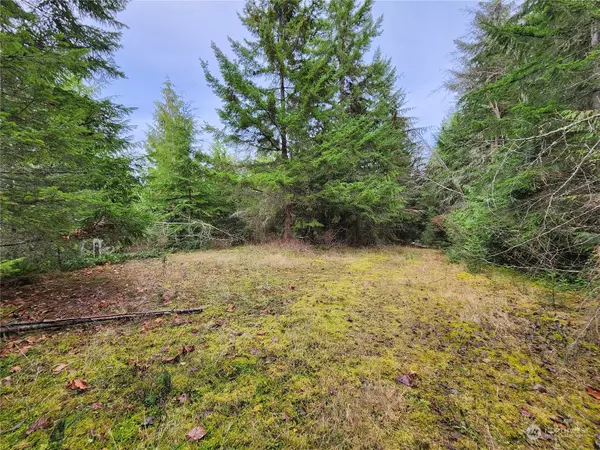 Sequim, WA 98382,9999 Broadview Dr