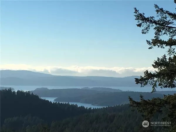 2 SW2 Rustic Homestead LN, Orcas Island, WA 98245