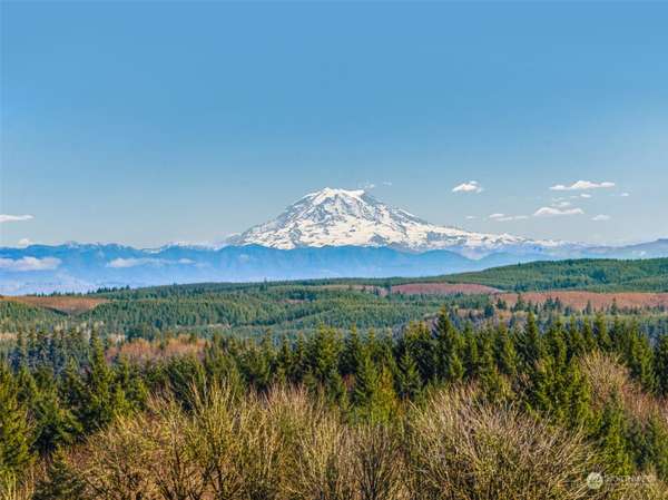 0 Olequa Heights Lot G RD, Castle Rock, WA 98611