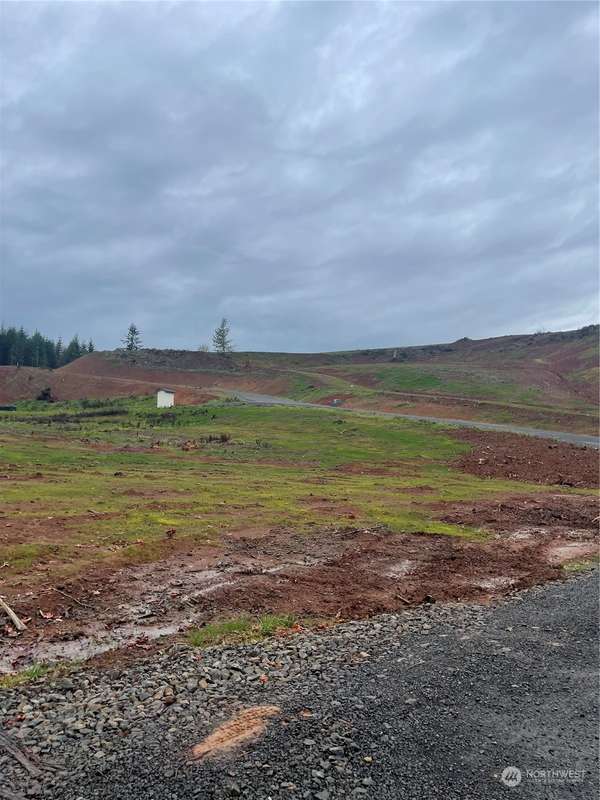 0 Olequa Heights Lot P RD, Castle Rock, WA 98611