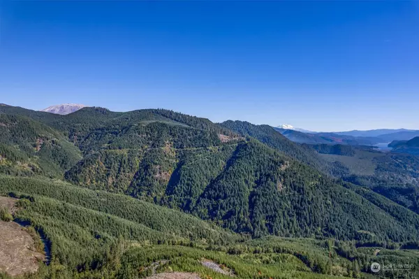 Cougar, WA 98616,0 USFS 81 RD