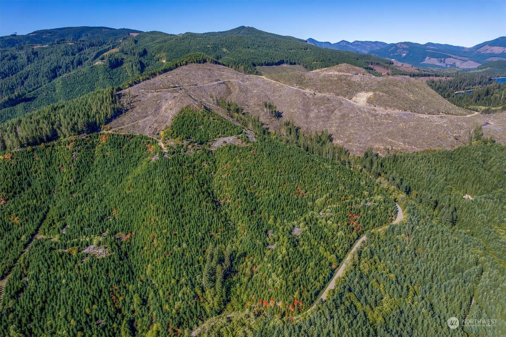 Cougar, WA 98616,0 USFS 81 RD