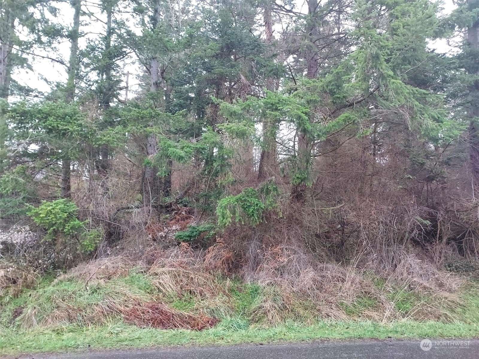 0 Hemenway PL, Oak Harbor, WA 98277