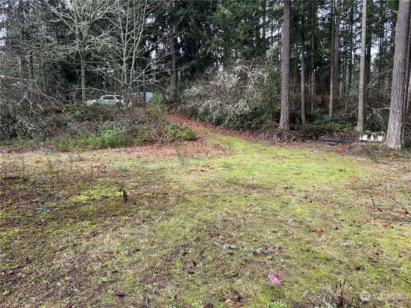 18214 -18220 Big Fir CT SE, Yelm, WA 98597