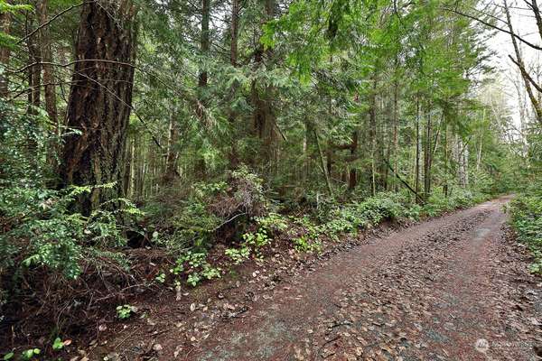 0 Peaceful PL, Langley, WA 98260