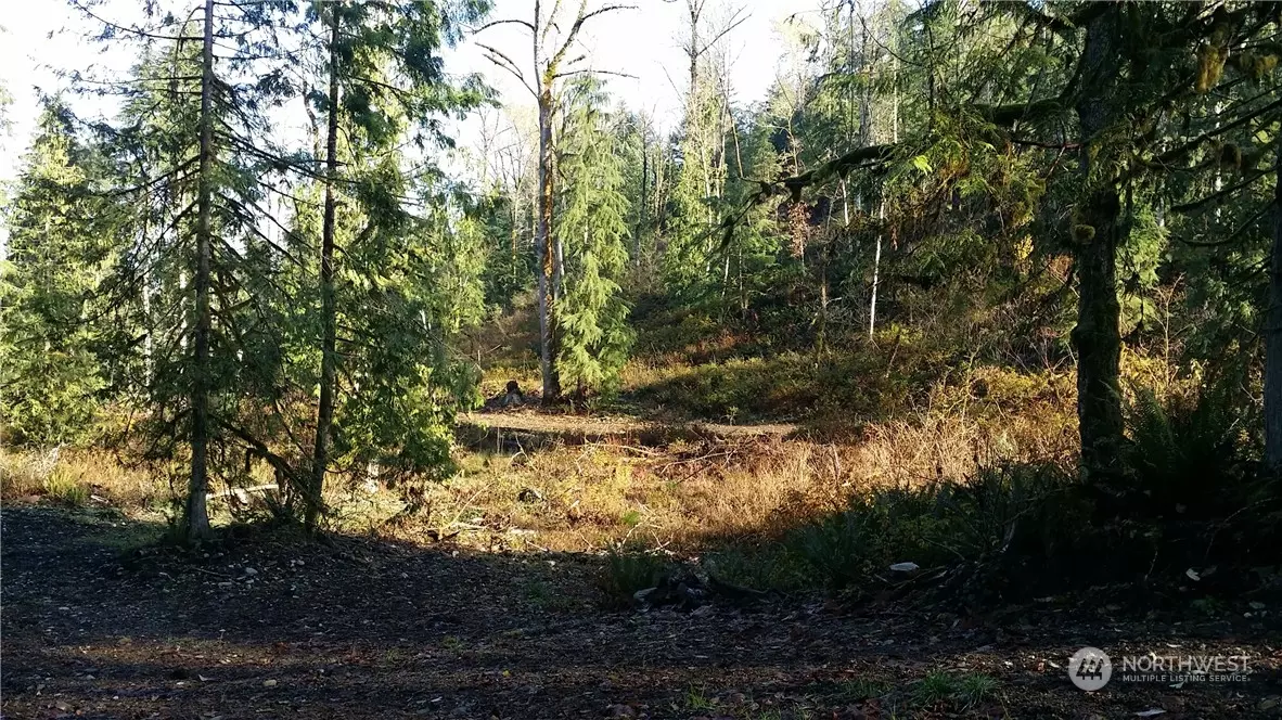 Wilkeson, WA 98396,151 XX Wilkeson-Spiketon Rd (Lot 3)