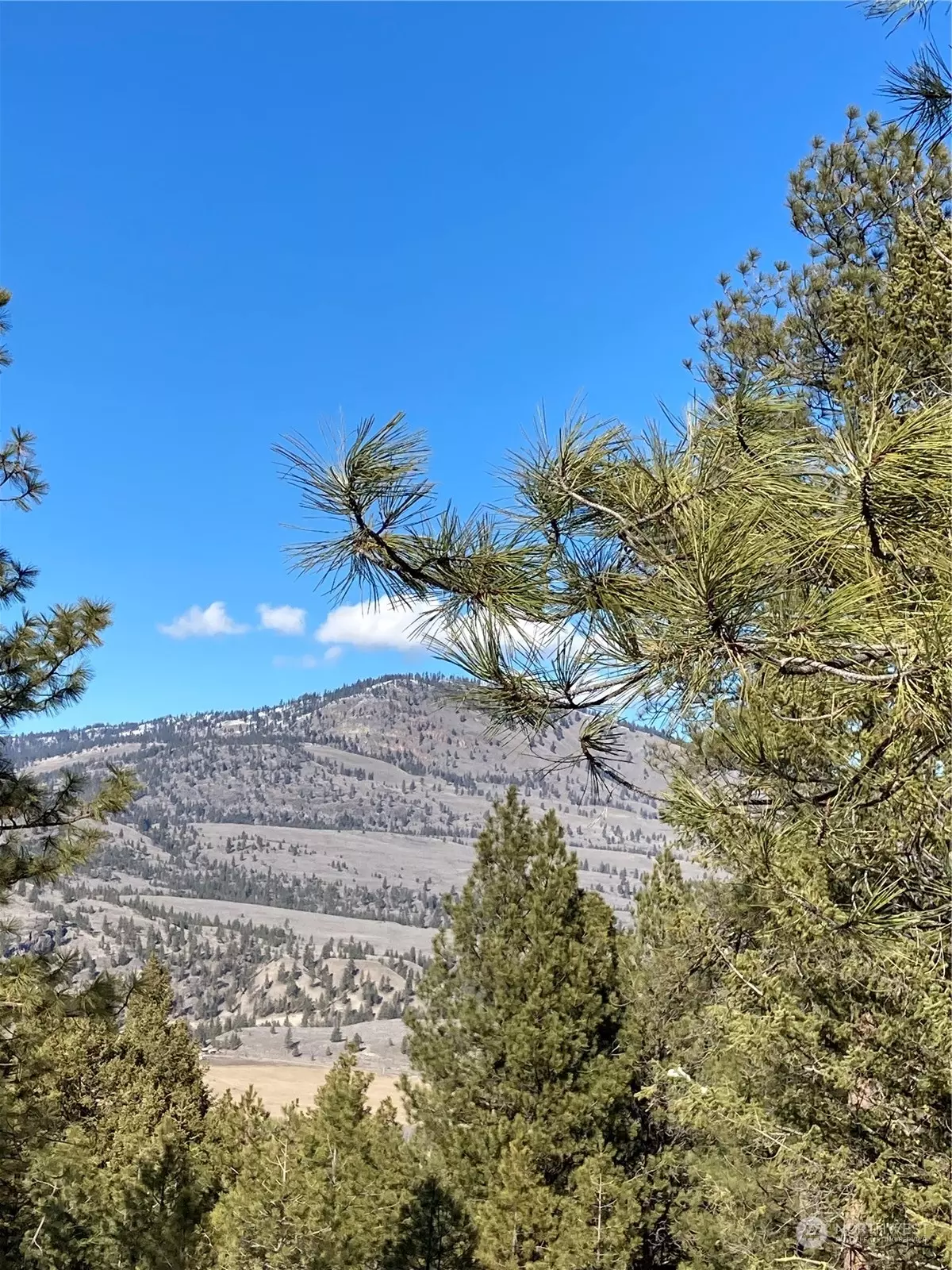 Tonasket, WA 98855,0 NFD Road 3010